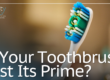 toothbrush